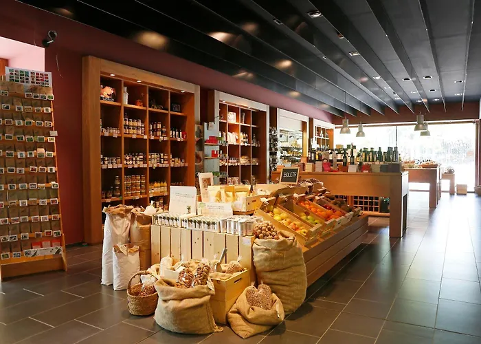 Hotel Mon Sant Benet